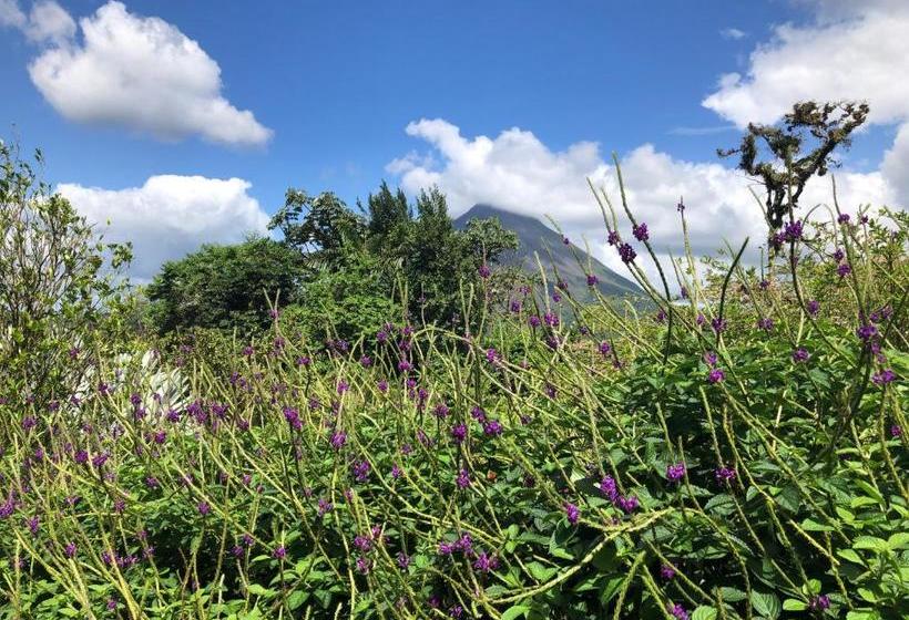 تختخواب و صبحانه Arenal Garden Lodge