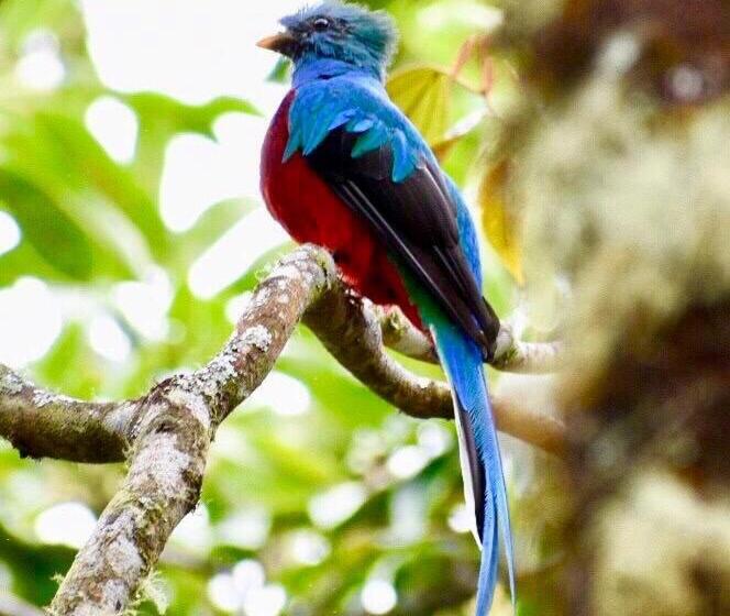 צימר Mar Verde Lodge