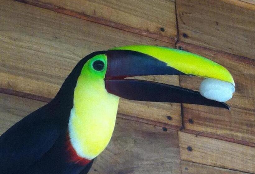 צימר Mar Verde Lodge