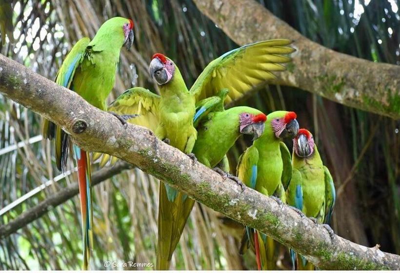 צימר Mar Verde Lodge