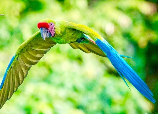 צימר Mar Verde Lodge