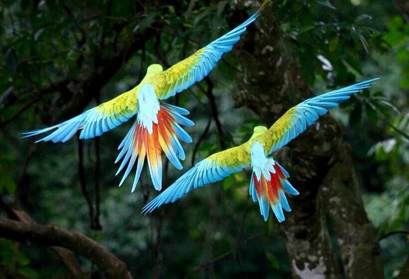 צימר Mar Verde Lodge