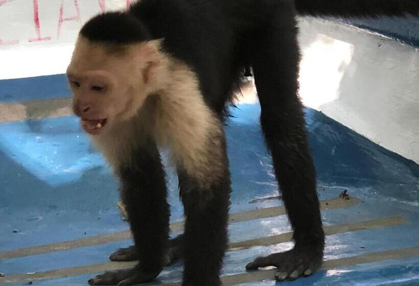 צימר Mar Verde Lodge