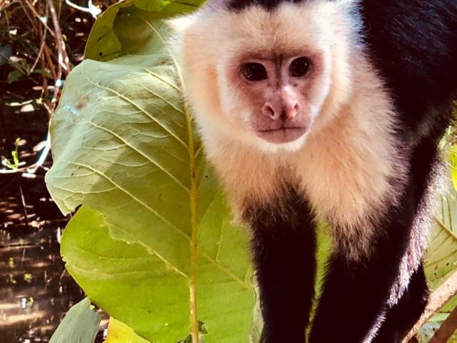 צימר Mar Verde Lodge