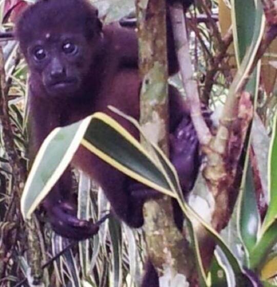 צימר Mar Verde Lodge