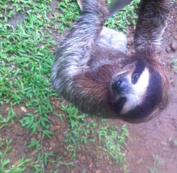 צימר Mar Verde Lodge