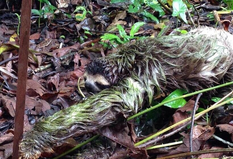 צימר Mar Verde Lodge