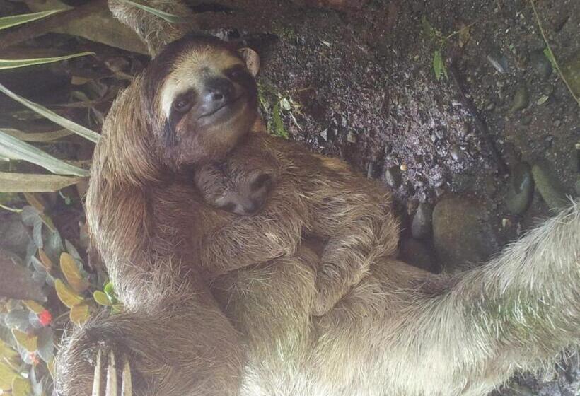 צימר Mar Verde Lodge