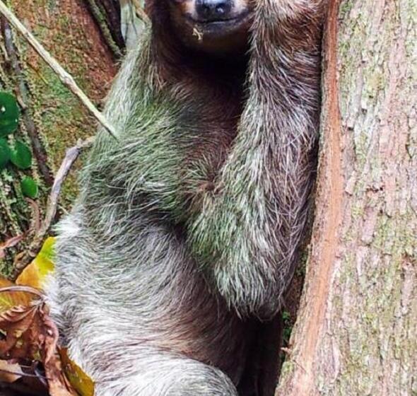 צימר Mar Verde Lodge