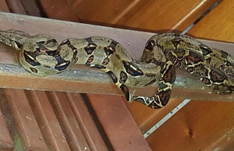 צימר Mar Verde Lodge