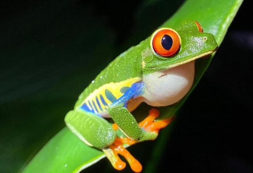 צימר Mar Verde Lodge