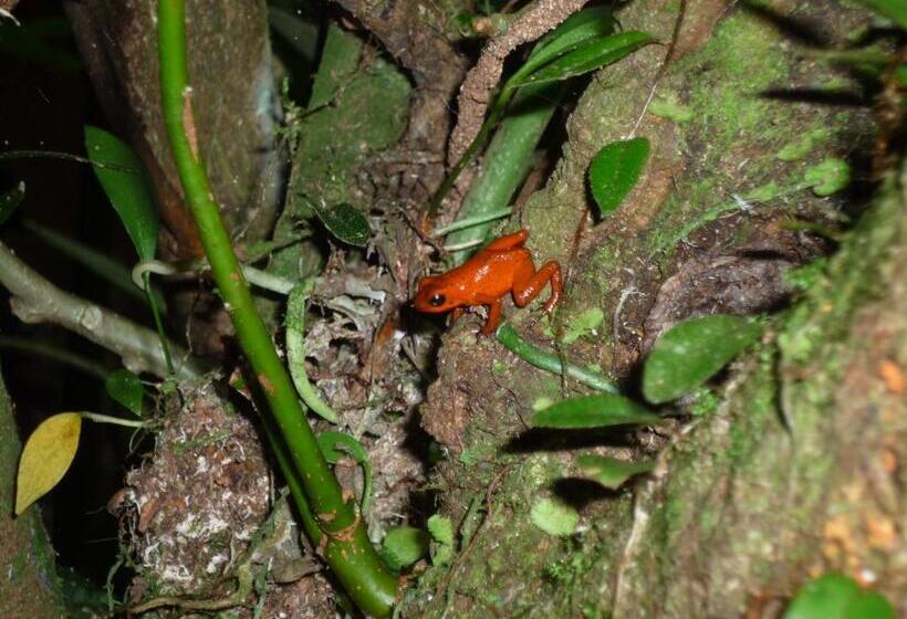צימר Mar Verde Lodge