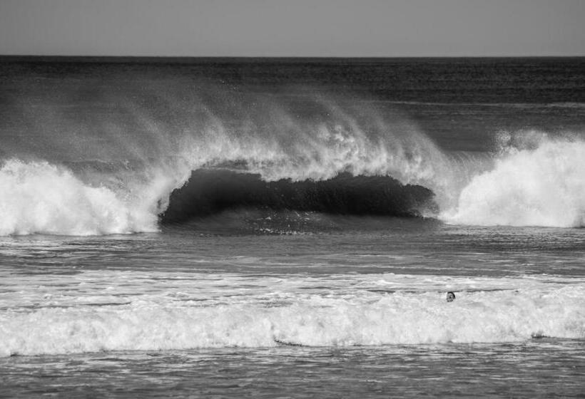 Cabinas Playa Surf Hostel