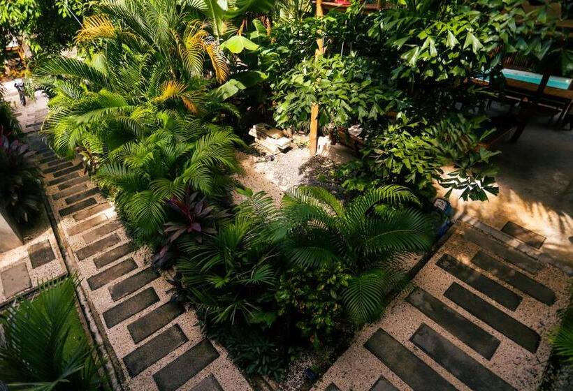 Cabinas Playa Surf Hostel