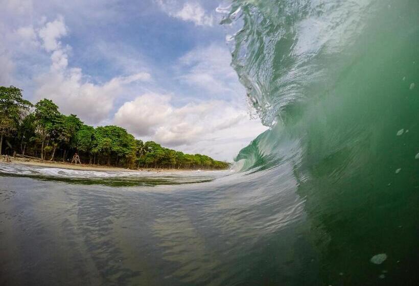 Cabinas Playa Surf Hostel