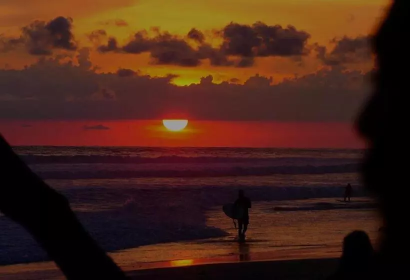 Cabinas Playa Surf Hostel