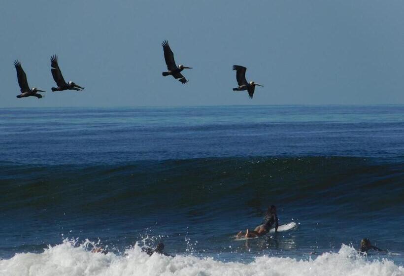 Cabinas Playa Surf Hostel