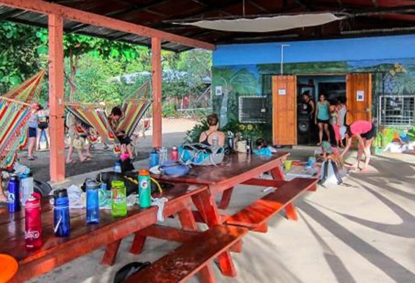 Хостел Cabañas Privadas Dilany