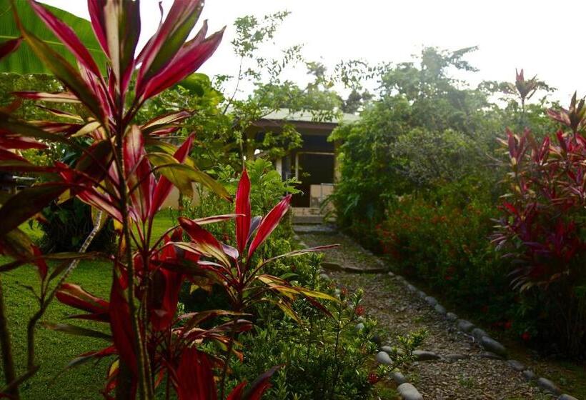 هتل Laureles Collection Uvita   Cabinas Los Laureles