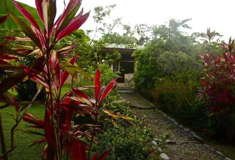 هتل Laureles Collection Uvita   Cabinas Los Laureles