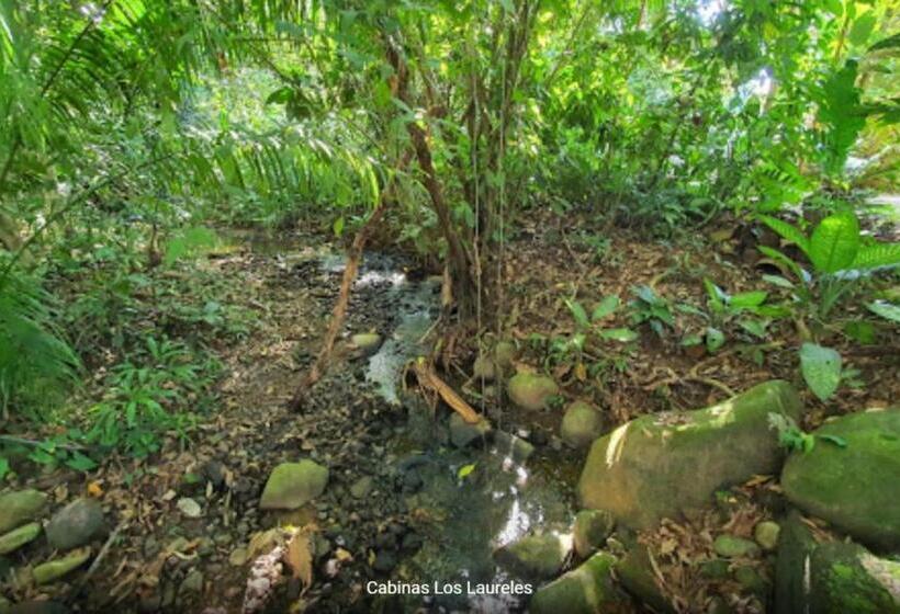 هتل Laureles Collection Uvita   Cabinas Los Laureles
