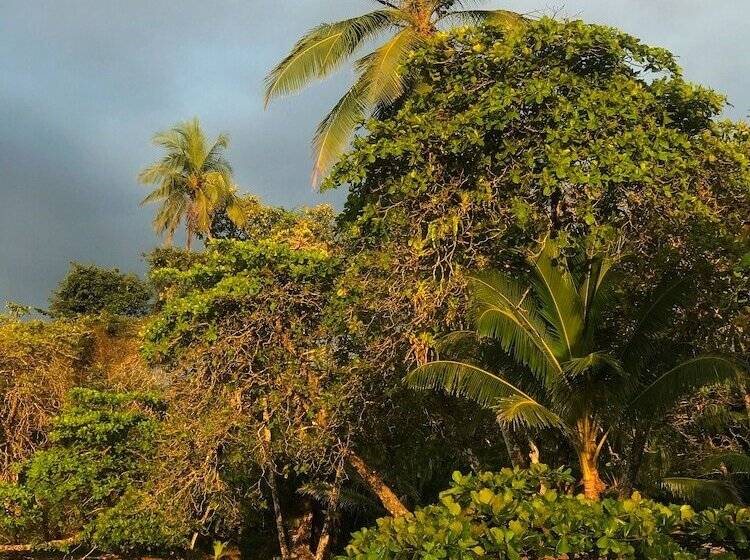 酒店 Casa Horizontes Corcovado