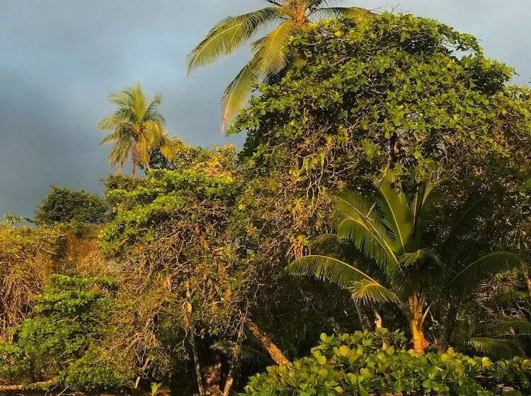 ホテル Casa Horizontes Corcovado