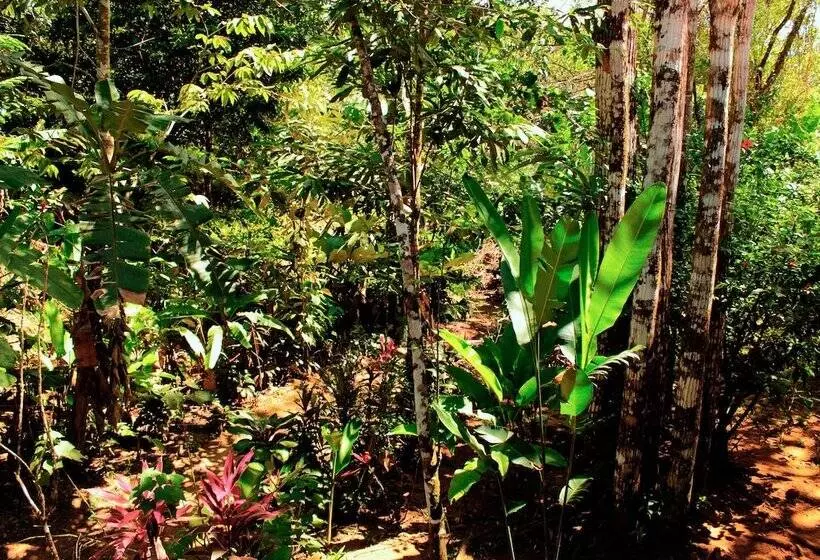 ホテル Casa Horizontes Corcovado