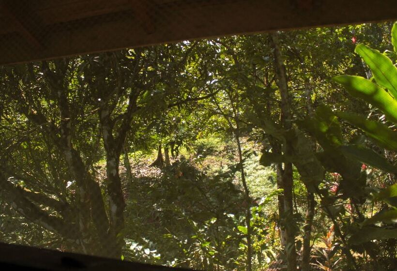 酒店 Casa Horizontes Corcovado