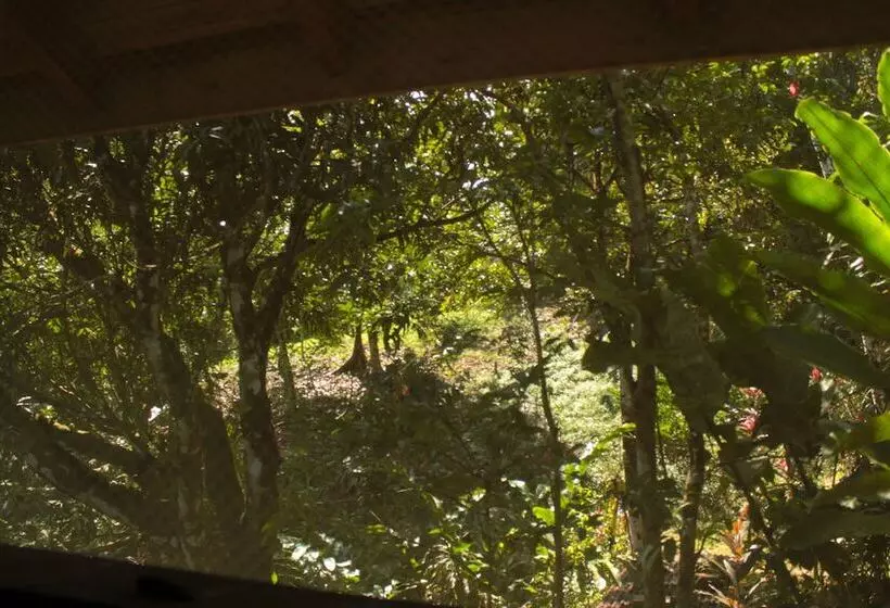 ホテル Casa Horizontes Corcovado
