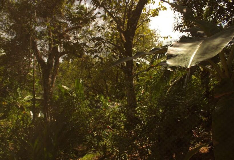 酒店 Casa Horizontes Corcovado