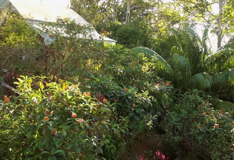 ホテル Casa Horizontes Corcovado