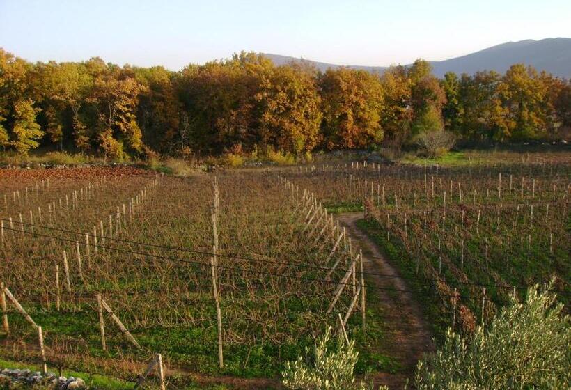 هتل Guest House Robi