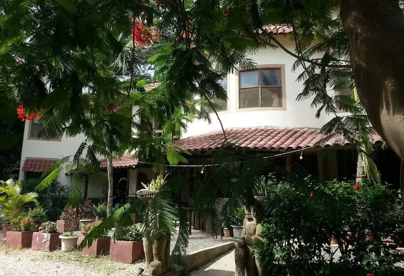 هتل Mamiri