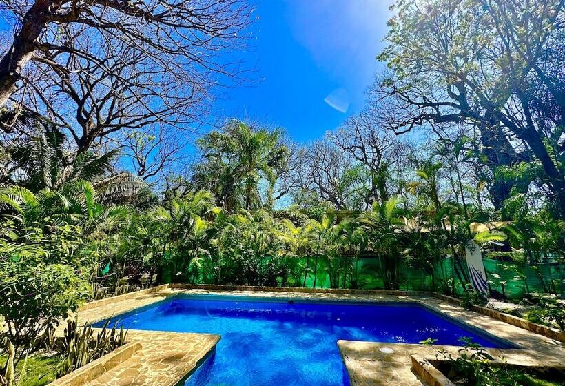 酒店 Pacifica Surf Studios