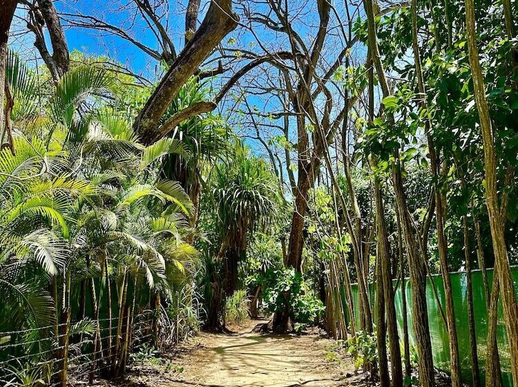 酒店 Pacifica Surf Studios