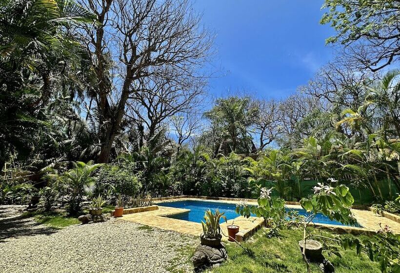 酒店 Pacifica Surf Studios