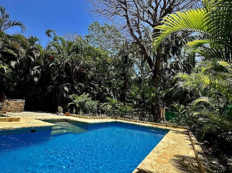 酒店 Pacifica Surf Studios