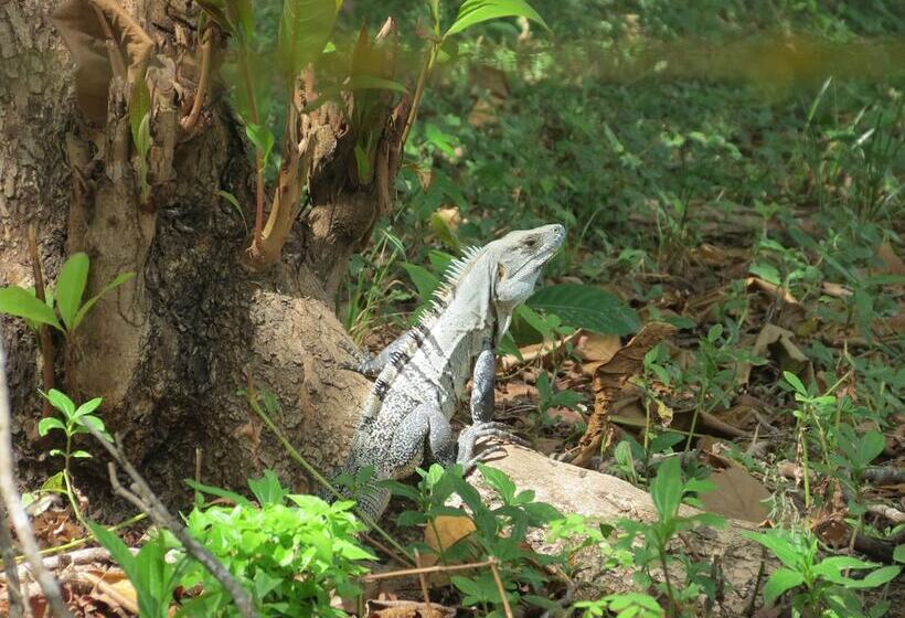 Hotelli Rustico Santa Teresa