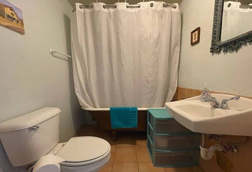 酒店 Snowmansion Taos Adventure Lodge