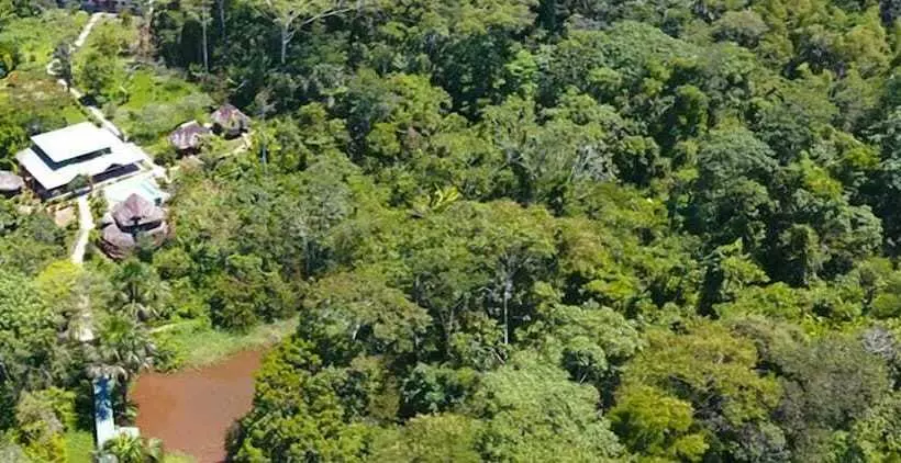 ホテル Suchipakari Jungle Lodge