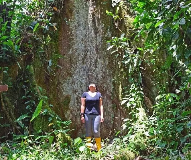 ホテル Suchipakari Jungle Lodge