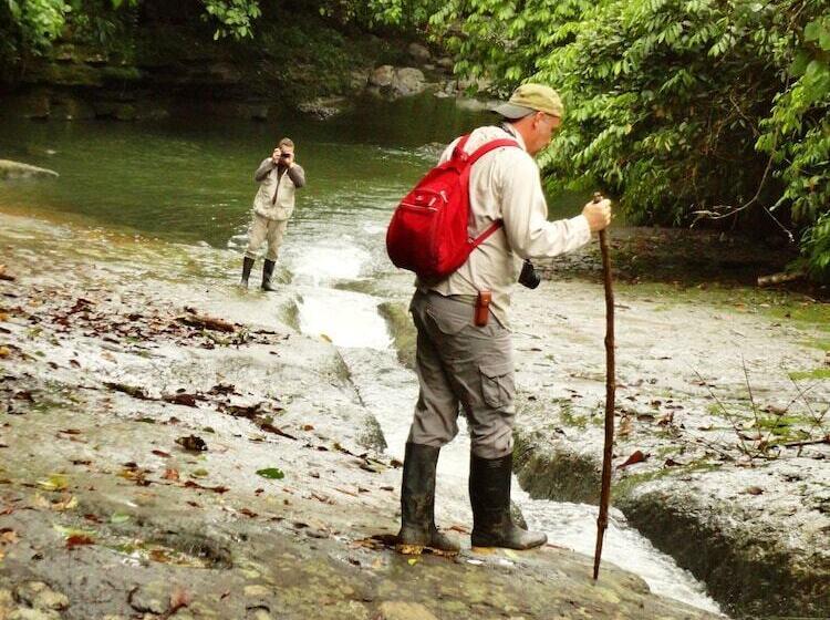 酒店 Suchipakari Jungle Lodge