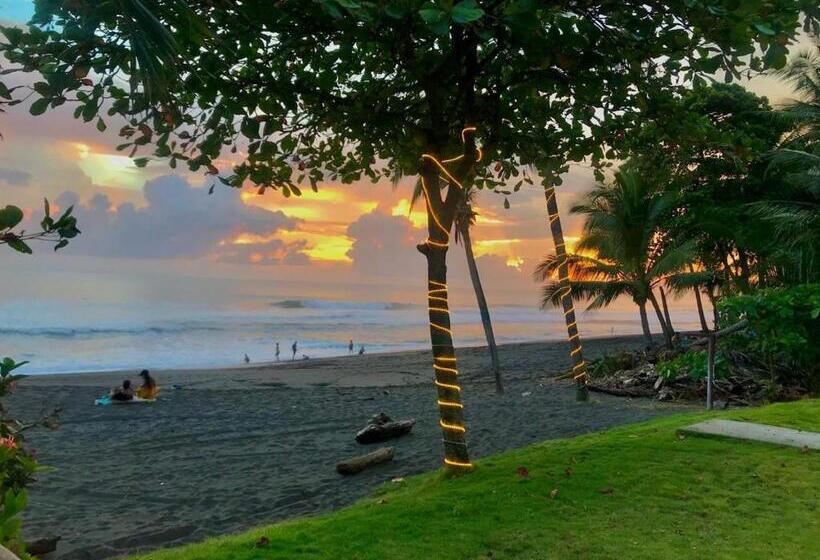 Отель The Backyard Beachfront