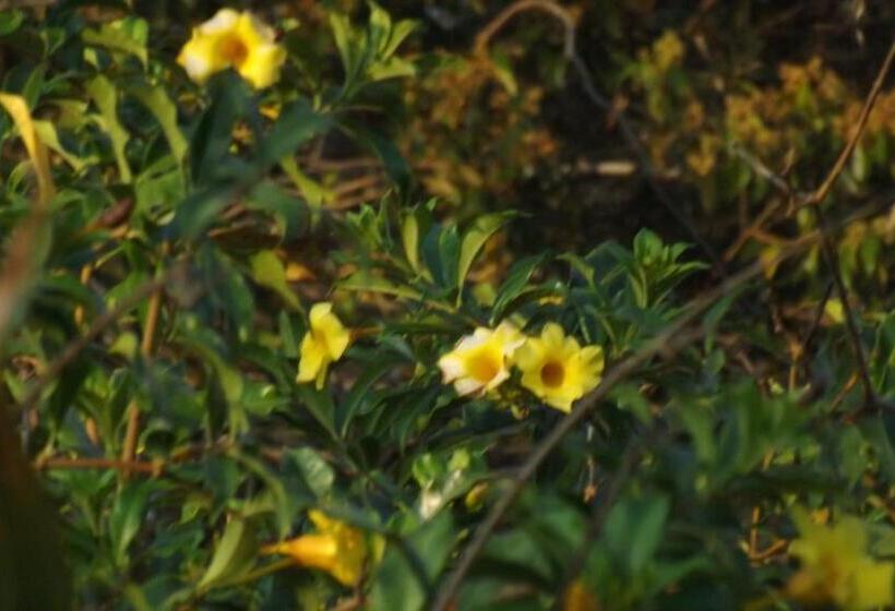 هتل Villas De La Colina