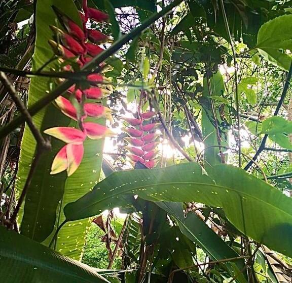 هتل Villas De La Colina