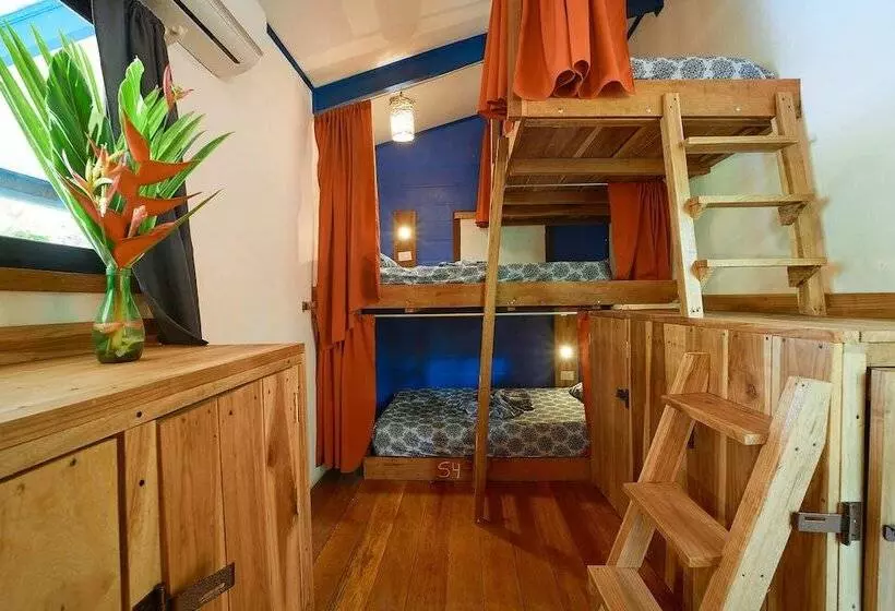 Playa 506 Beachfront Hostel