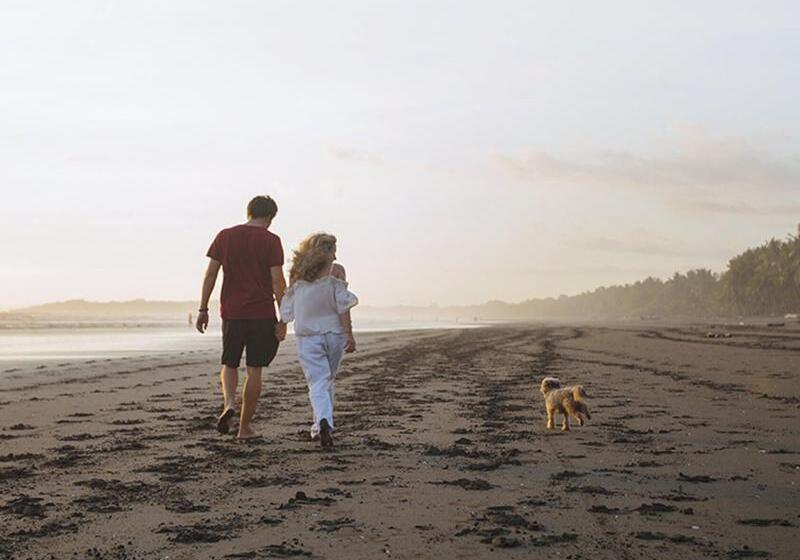 مبيت وإفطار Encantada Ocean Cottages