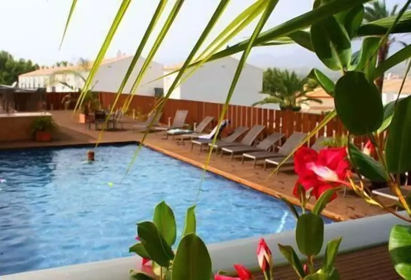 ホテル Albir Palace Apartments