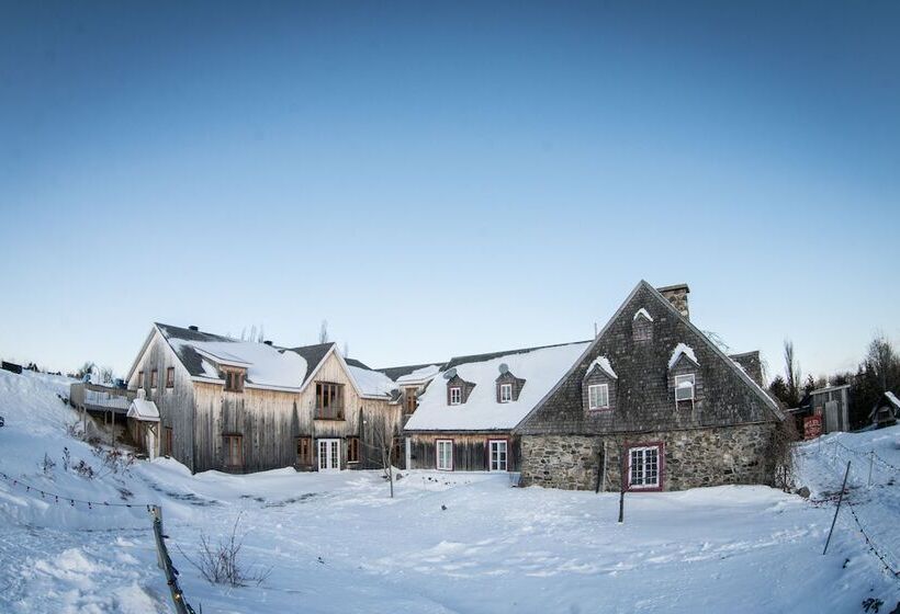 Отель Auberge Le P Tit Bonheur   Hostel